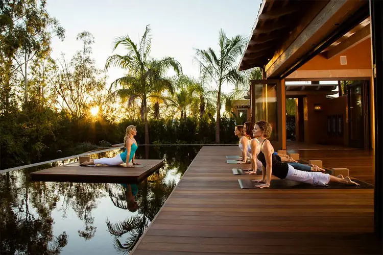 Wellness Retreats