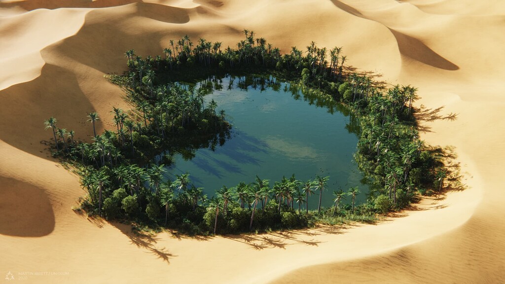 UAE oasis