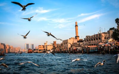 Uncover Hidden Places in Dubai: with 2 Must-Explore Districts