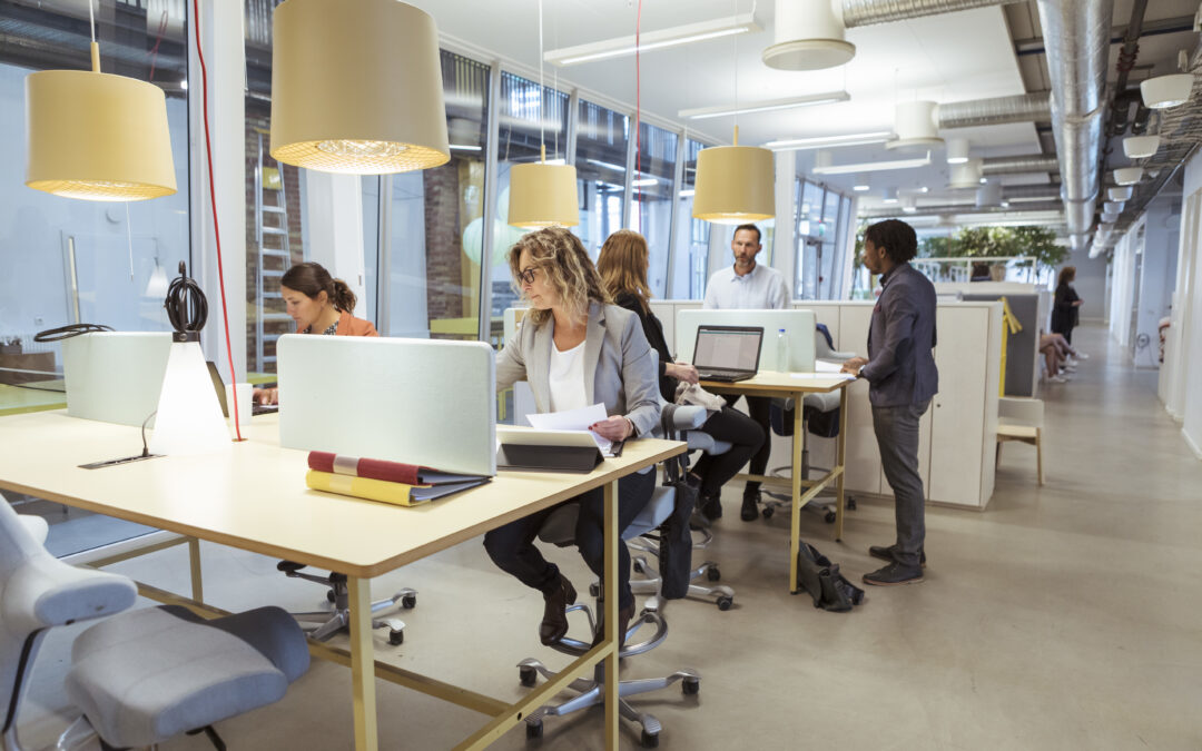 Reveal Co-Working Spaces: 9 Highlights for Productivity