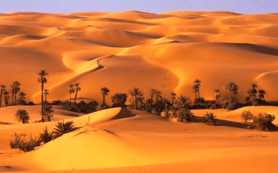 UAE Oasis 7 Hidden Gems Must Visit