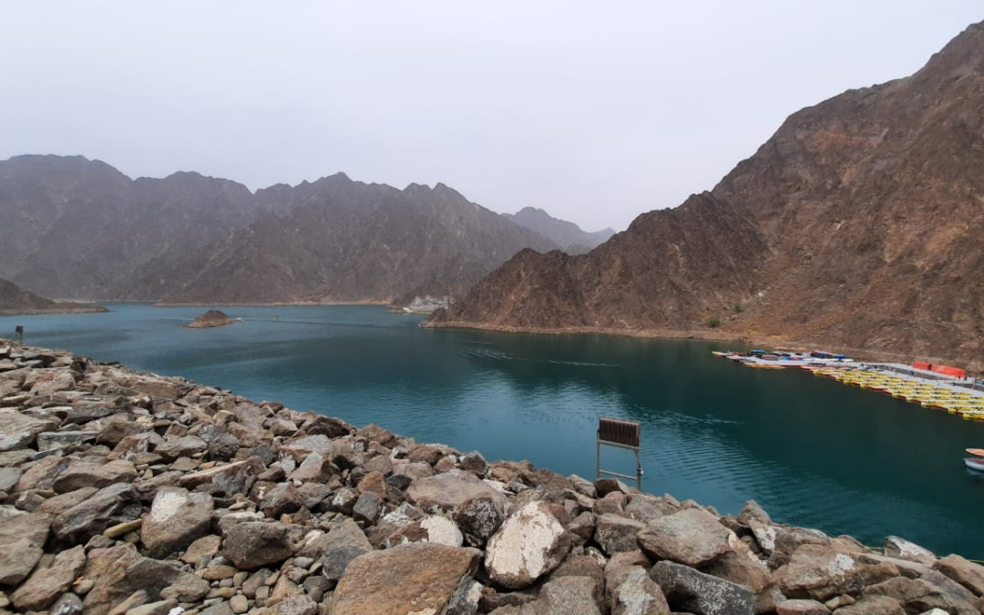 7 Stunning UAE Natural Life Wonders: A Journey Through